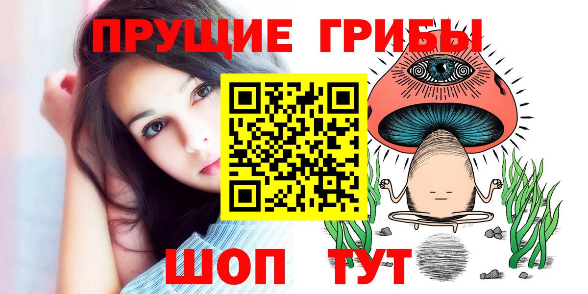 Черняховск  Псилоцибиновые грибы мицелий  Галлюциногенные грибы Cubensis  Вход с VPN 