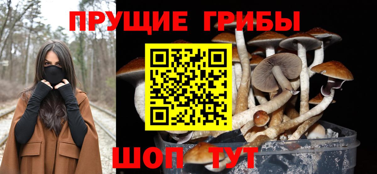 Псилоцибиновые грибы Magic Shrooms Черняховск